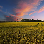 VastuAmerica For Farm and Land Purchase